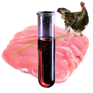 Allergy to turkey meat