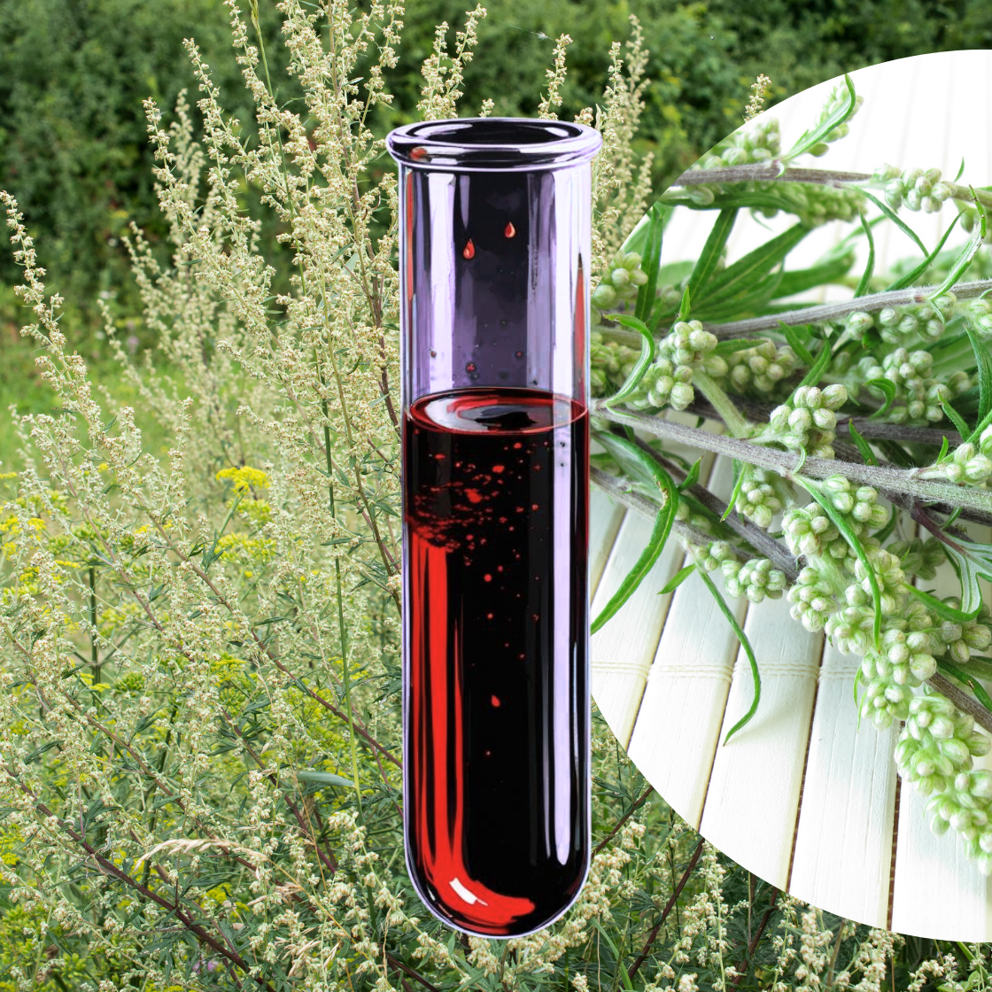 Allergy to common mugwort (Artemisia vulgaris)