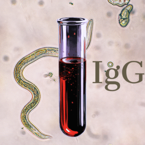 Badanie P-ciała p/Toxocara canis IgG (przeciwciała przeciwko Toxocara canis klasy IgG)