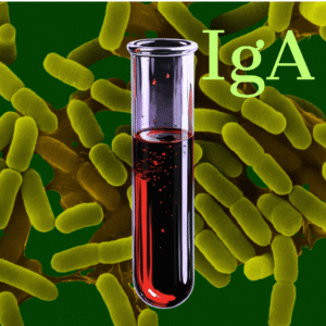 Przeciwciała p/Yersinia enterocolitica IgA