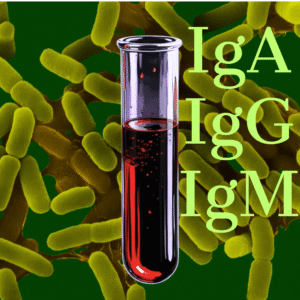 Przeciwciała p/serotypom Yersinia sp. (IgA, IgG, IgM)